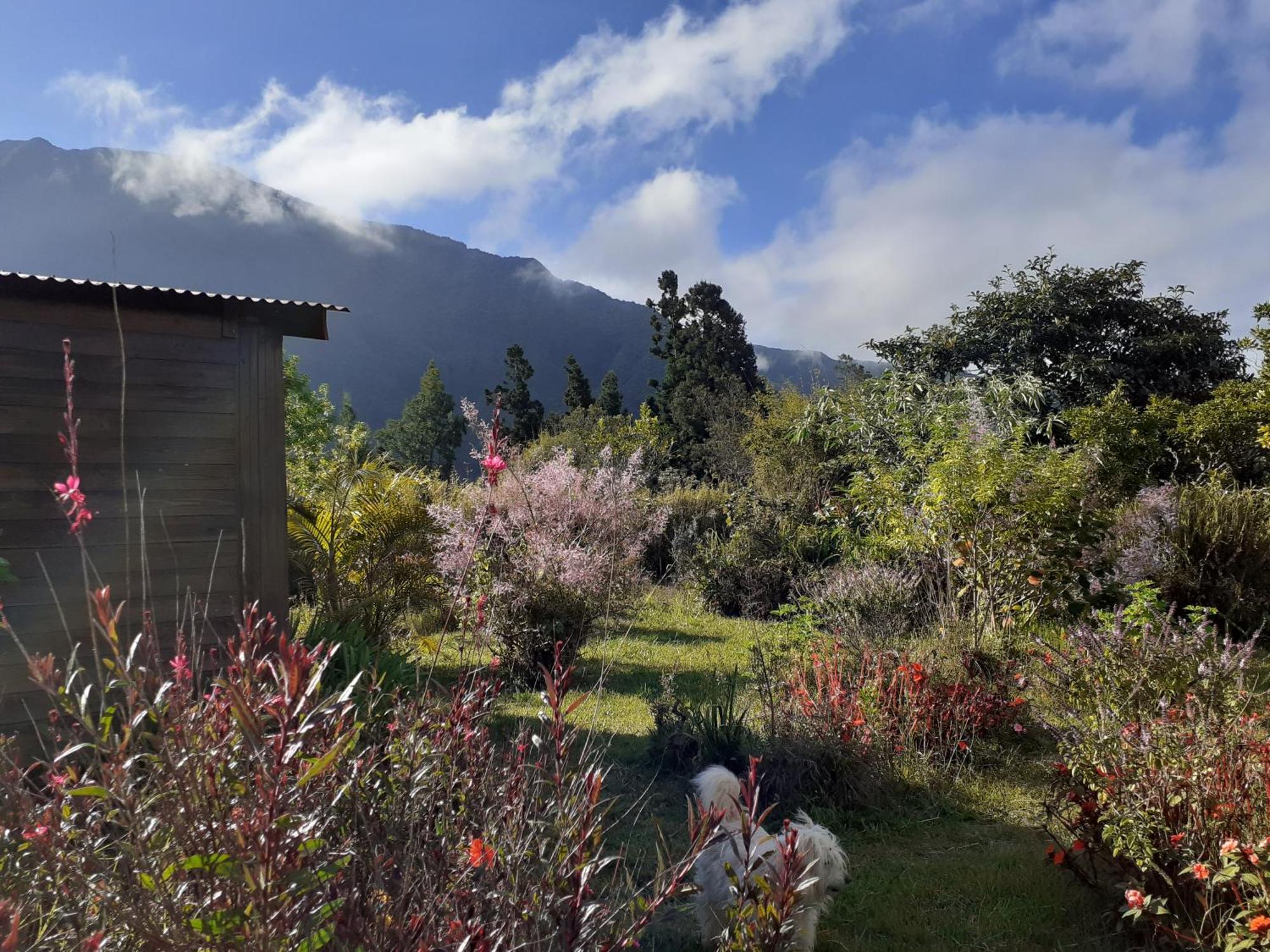 Le Clos Des Mimosas La Plaine des Palmistes Exterior foto