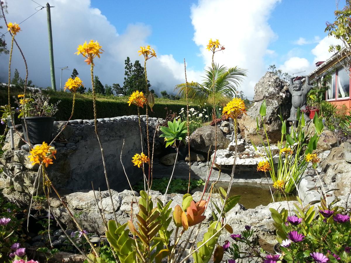 Le Clos Des Mimosas La Plaine des Palmistes Exterior foto
